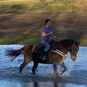 Meet your Posher, Lacey